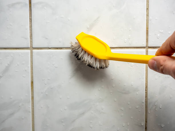 Best Mold Remediation Services  in Richmond, IL