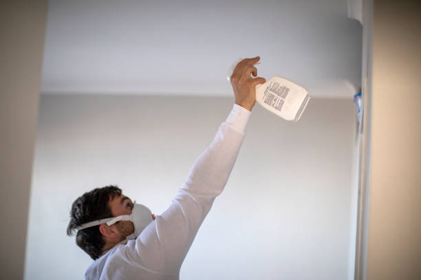 Best Mold Cleaning Services  in Richmond, IL