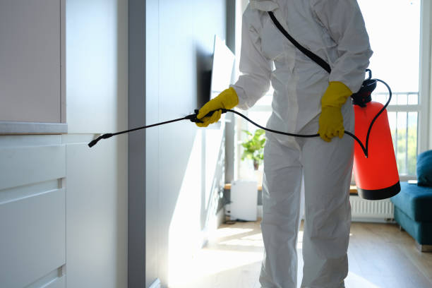 Best Attic Mold Removal  in Richmond, IL