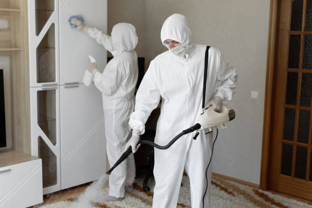 Best Mold Damage Repair  in Richmond, IL
