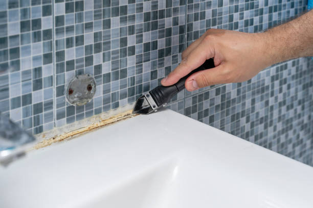 Home Mold Removal in Richmond, IL