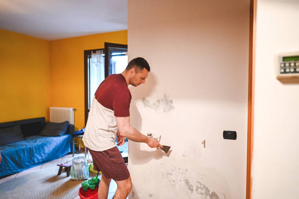 Best Mold Damage Repair  in Richmond, IL